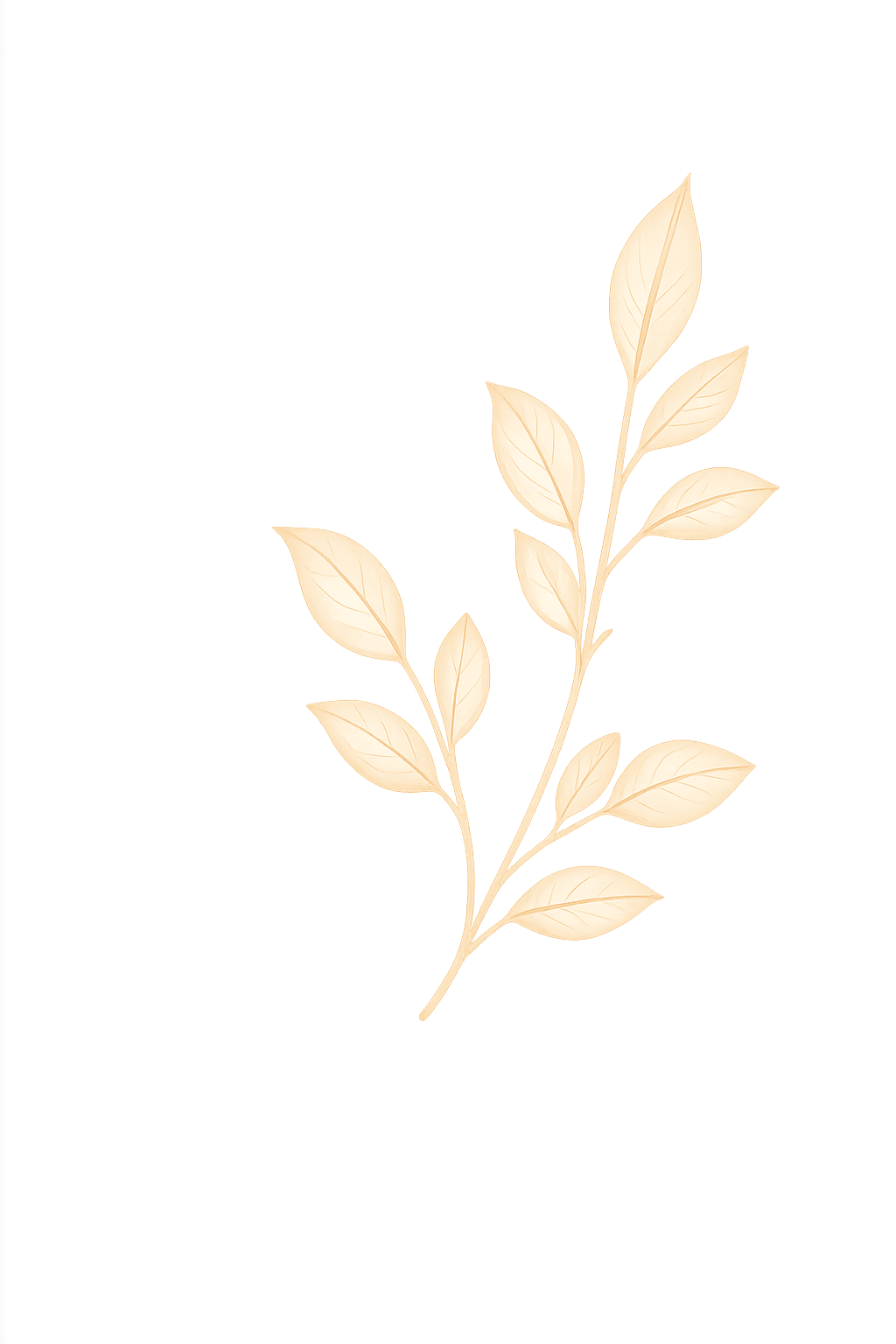 Decorative background